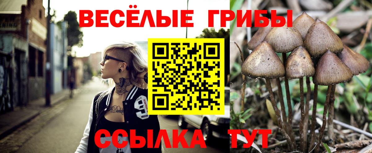 Псилоцибиновые грибы Psilocybe  Вход с VPN  Краснодар 