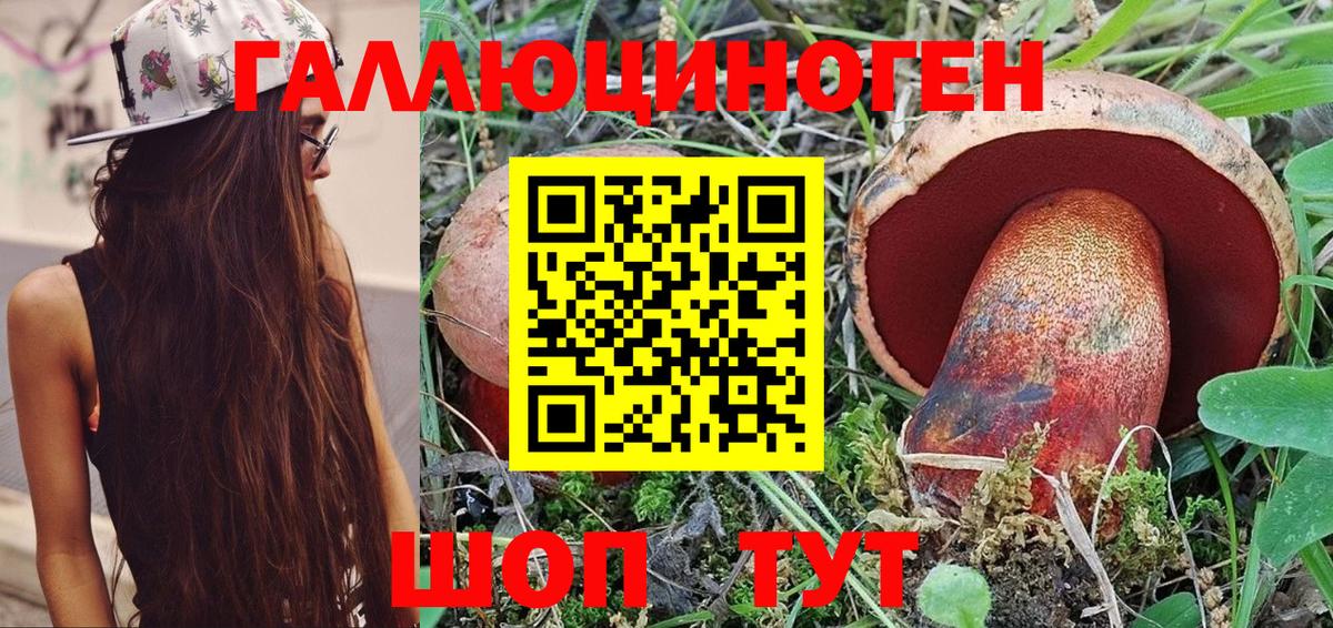 Псилоцибиновые грибы прущие грибы Краснодар